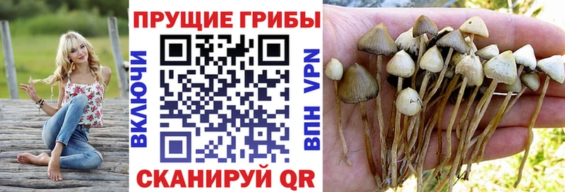 купить наркотики цена  Спас-Деменск  Псилоцибиновые грибы мухоморы 